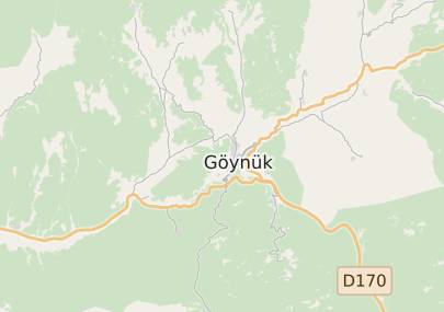 Bolu Gynk