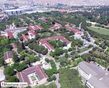 Bakrky Prof. Dr. Mazhar Osman Ruh Sal ve Sinir Hastalklar Eitim ve Aratrma Hastanesi