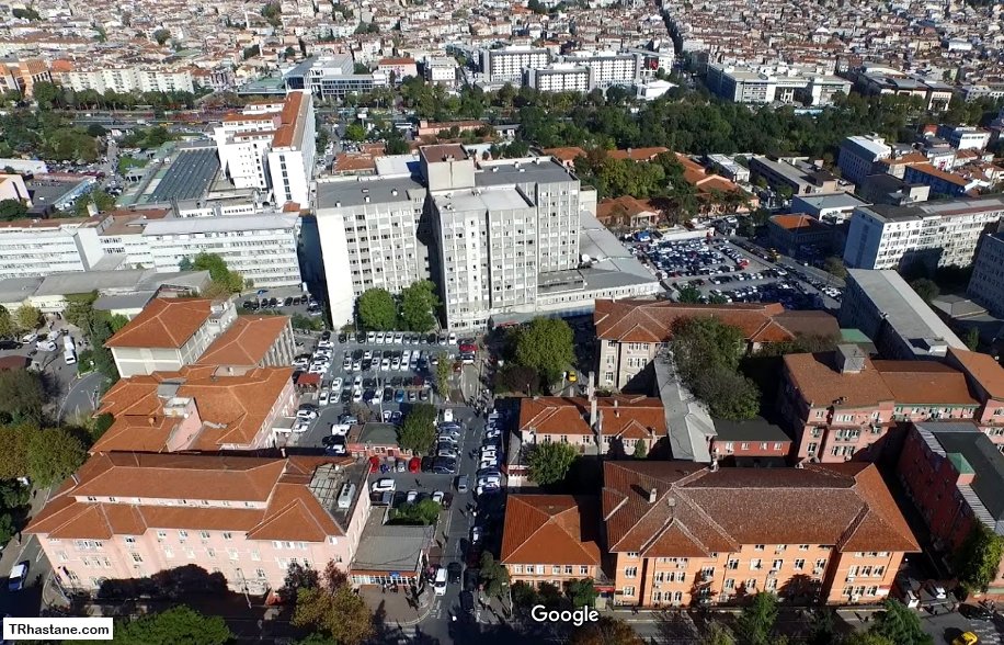 etkilesim secmek istifa istanbul universitesi capa tip fakultesi hastanesi oznepsikoloji com