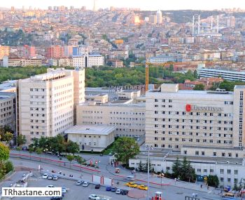 Hacettepe niversitesi Hastanesi