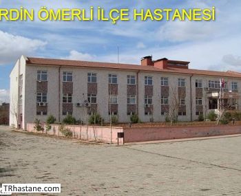 merli le Devlet Hastanesi