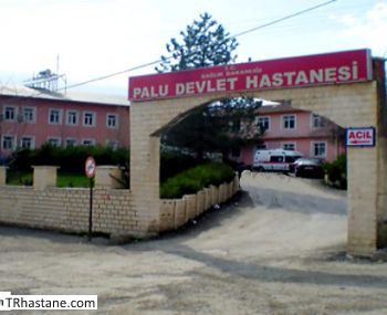 Palu Devlet Hastanesi